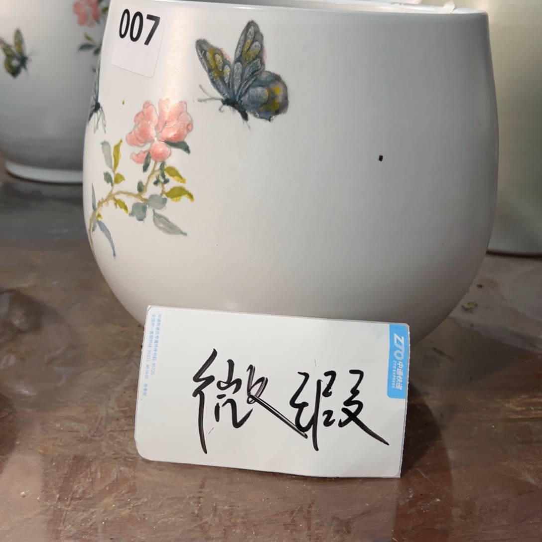 执照星期一执照去执照我