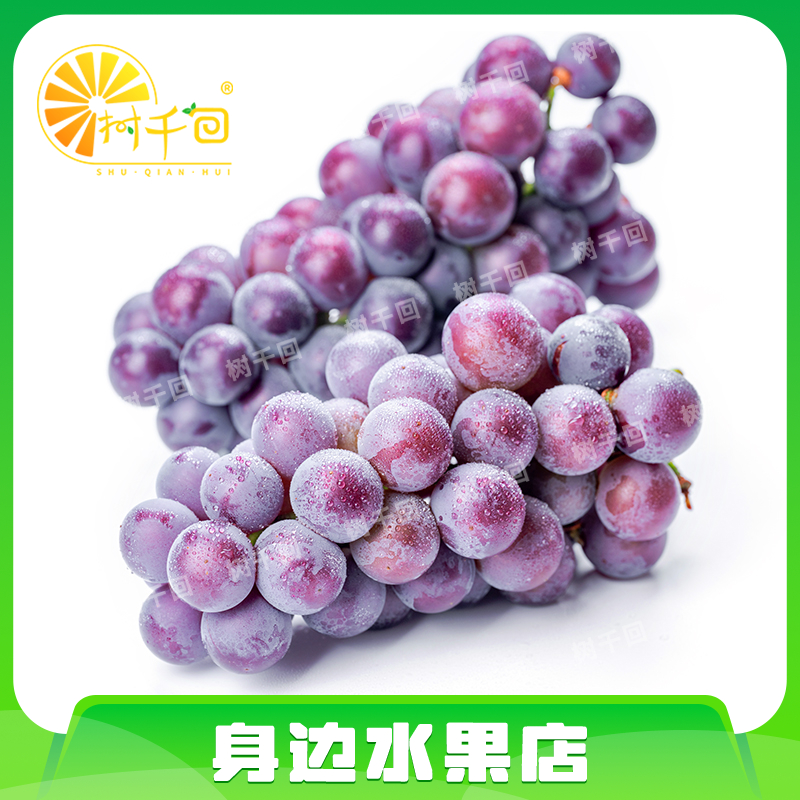 【整串】巨峰葡萄一串约1.5斤 8甜2酸 个别有籽辽宁省