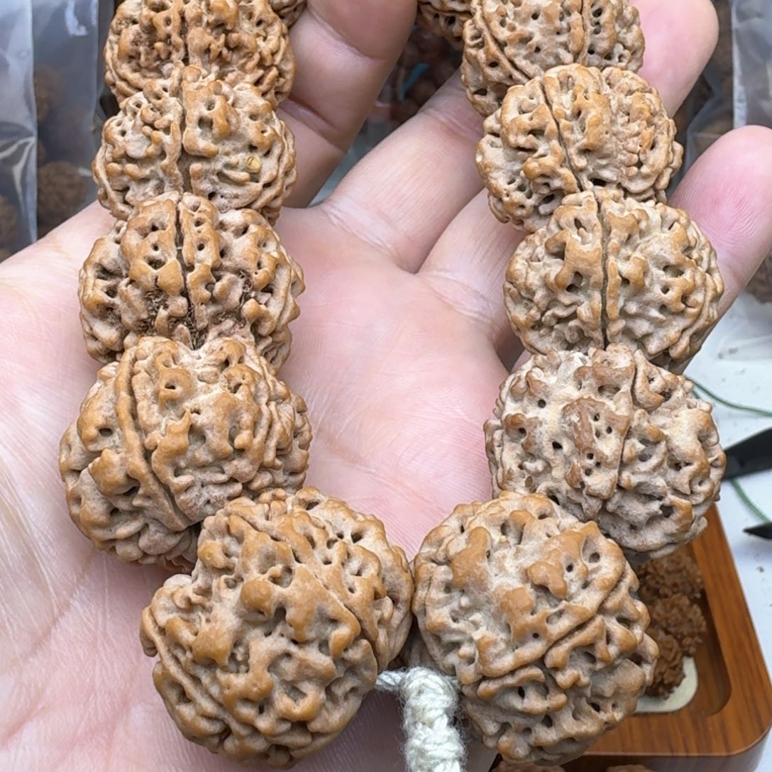 金刚菩提手串原生态粗筋梅花