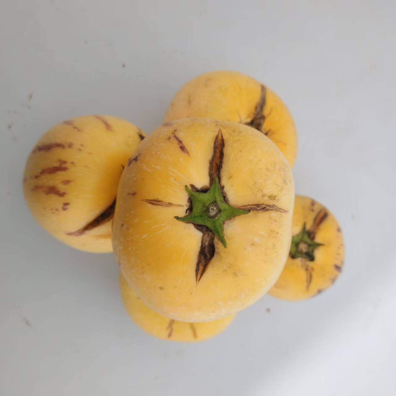 【树熟】云南人参果.【超级大裂果】【不售后】