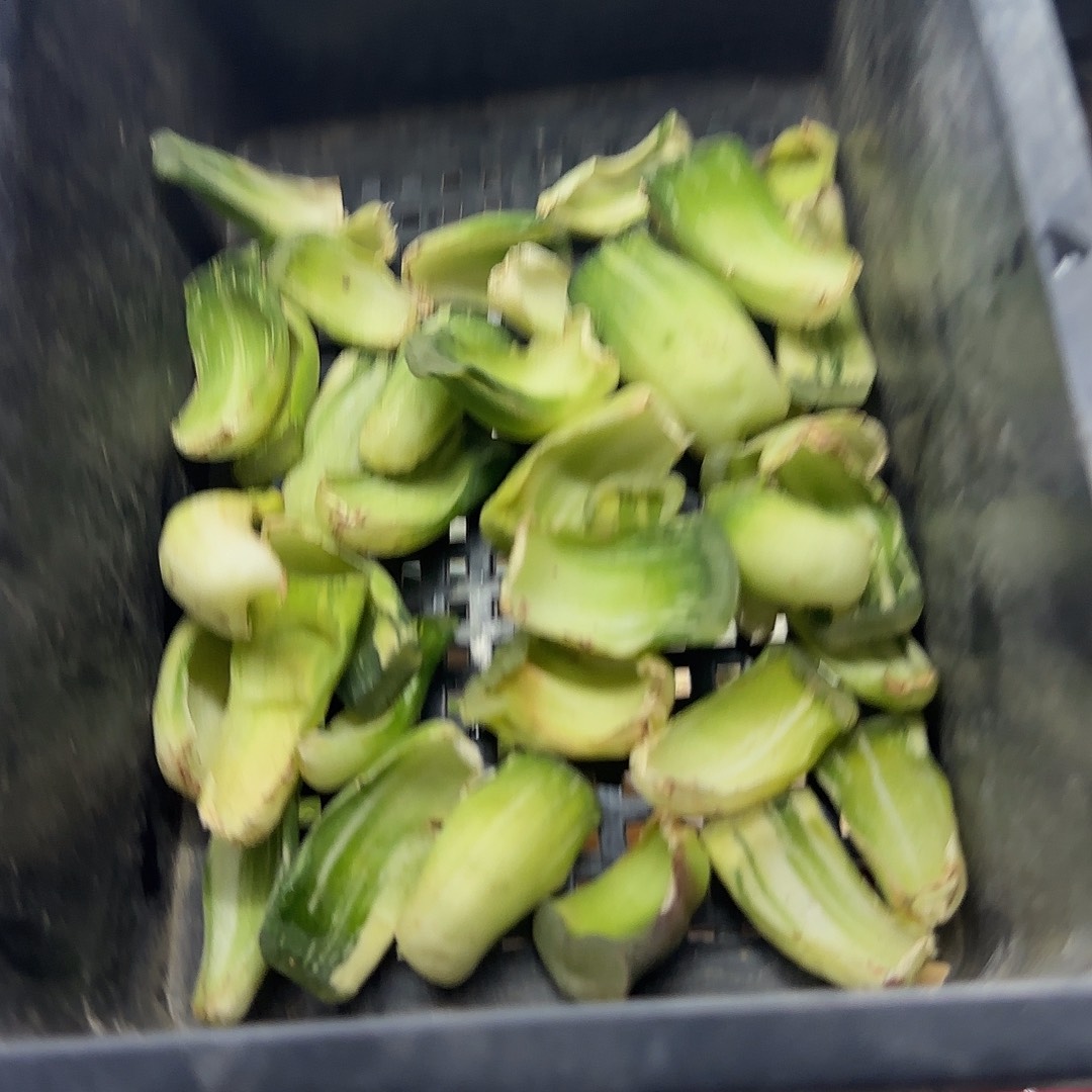 y***y鬼盐城叶子一二三