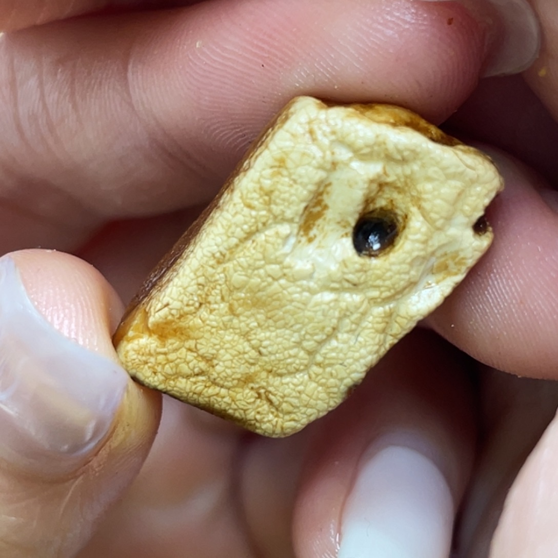 定制琥珀未镶嵌定制