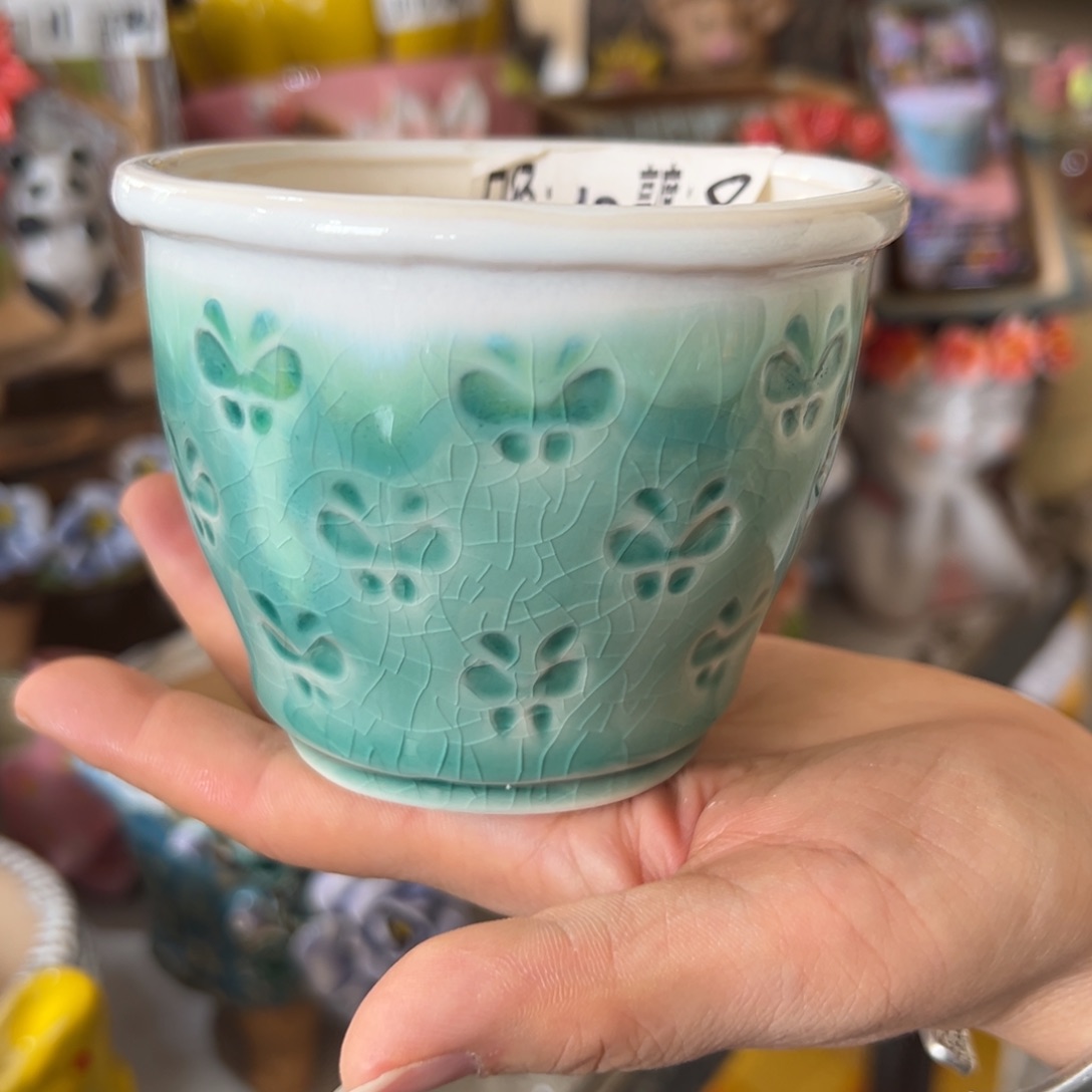 多肉花盆，满20发货爱退款拉黑