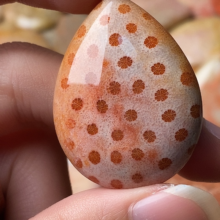 H***芳硅化珊瑚未镶嵌颈饰