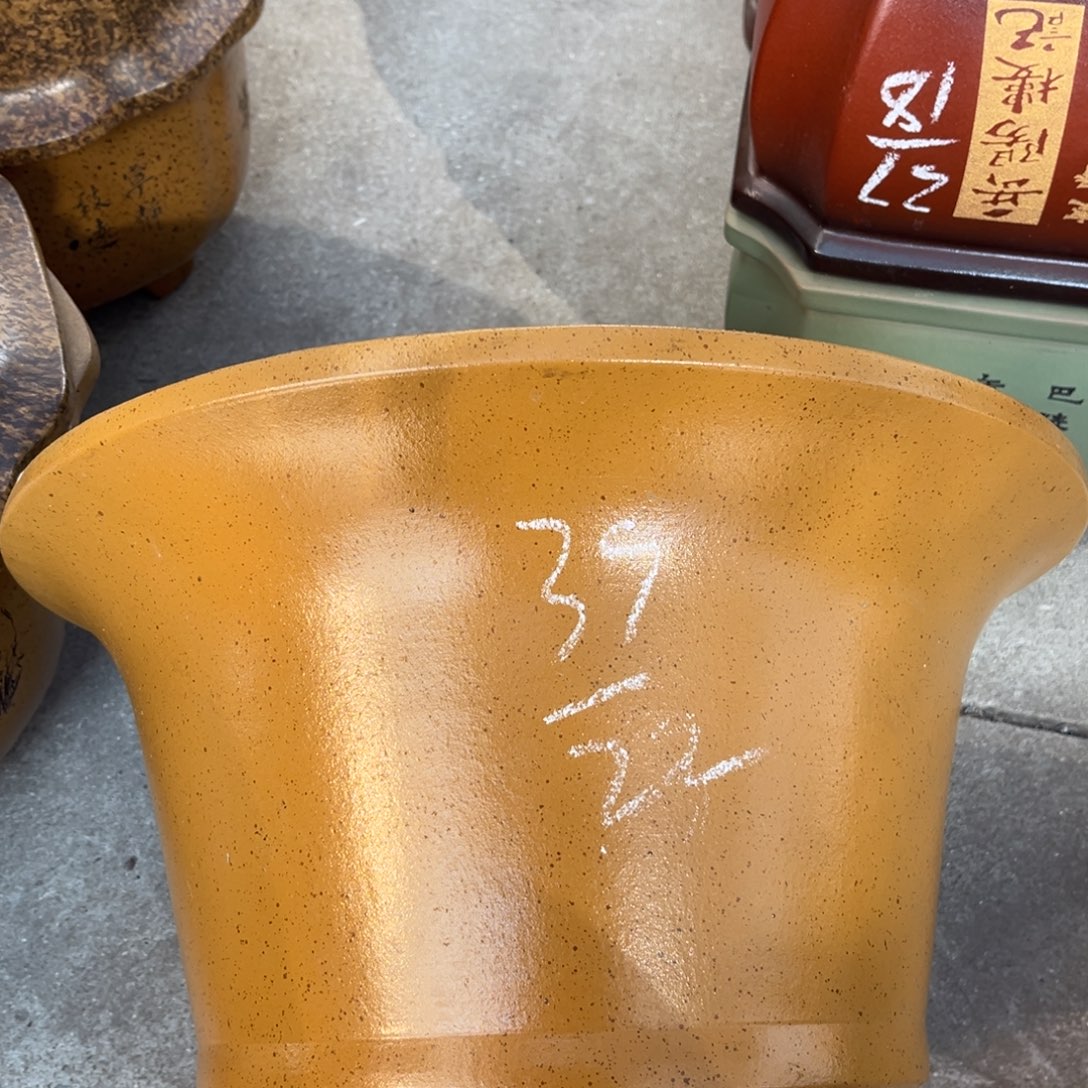 紫砂花盆盆景艺术