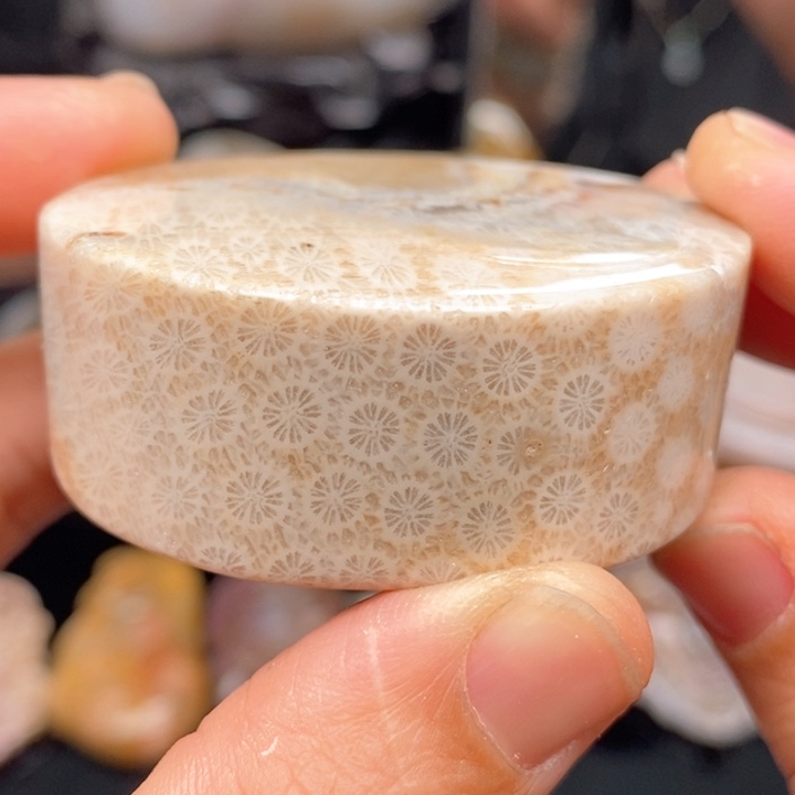 硅化珊瑚（珊瑚玉）手镯未镶嵌