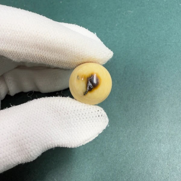 S8287天然猛犸牙蓝眼圆珠 支持鉴定 假一罚四