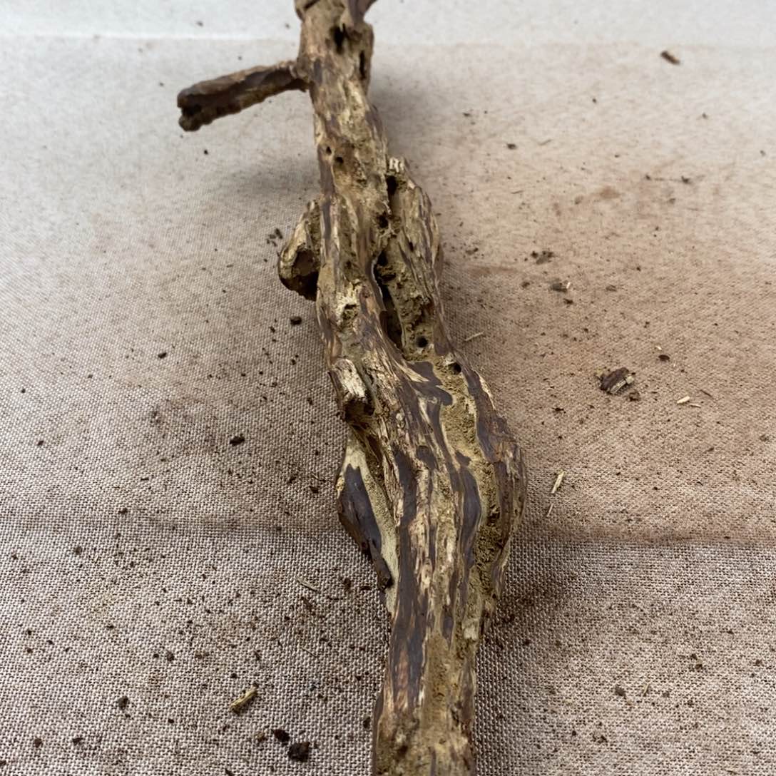 用***1黄花梨/降香黄檀黄花梨随形料子