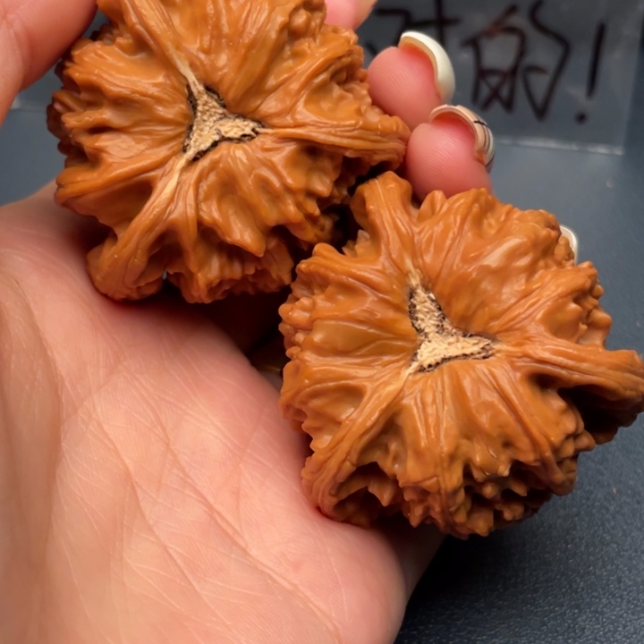 桃***运吊坠文玩核桃白狮子