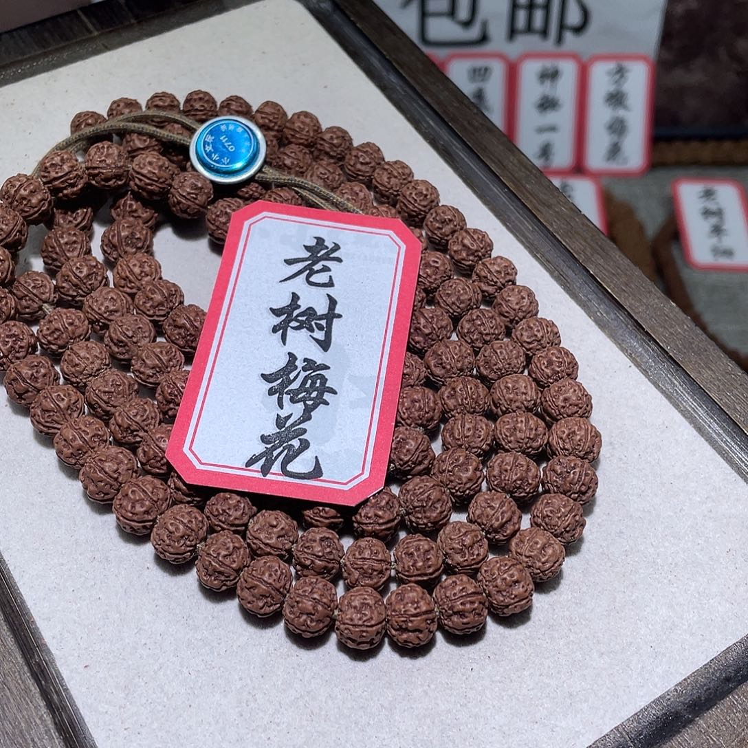 手串金刚菩提0711老树梅花