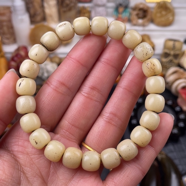 驼骨手串/手链老灵骨老邢10