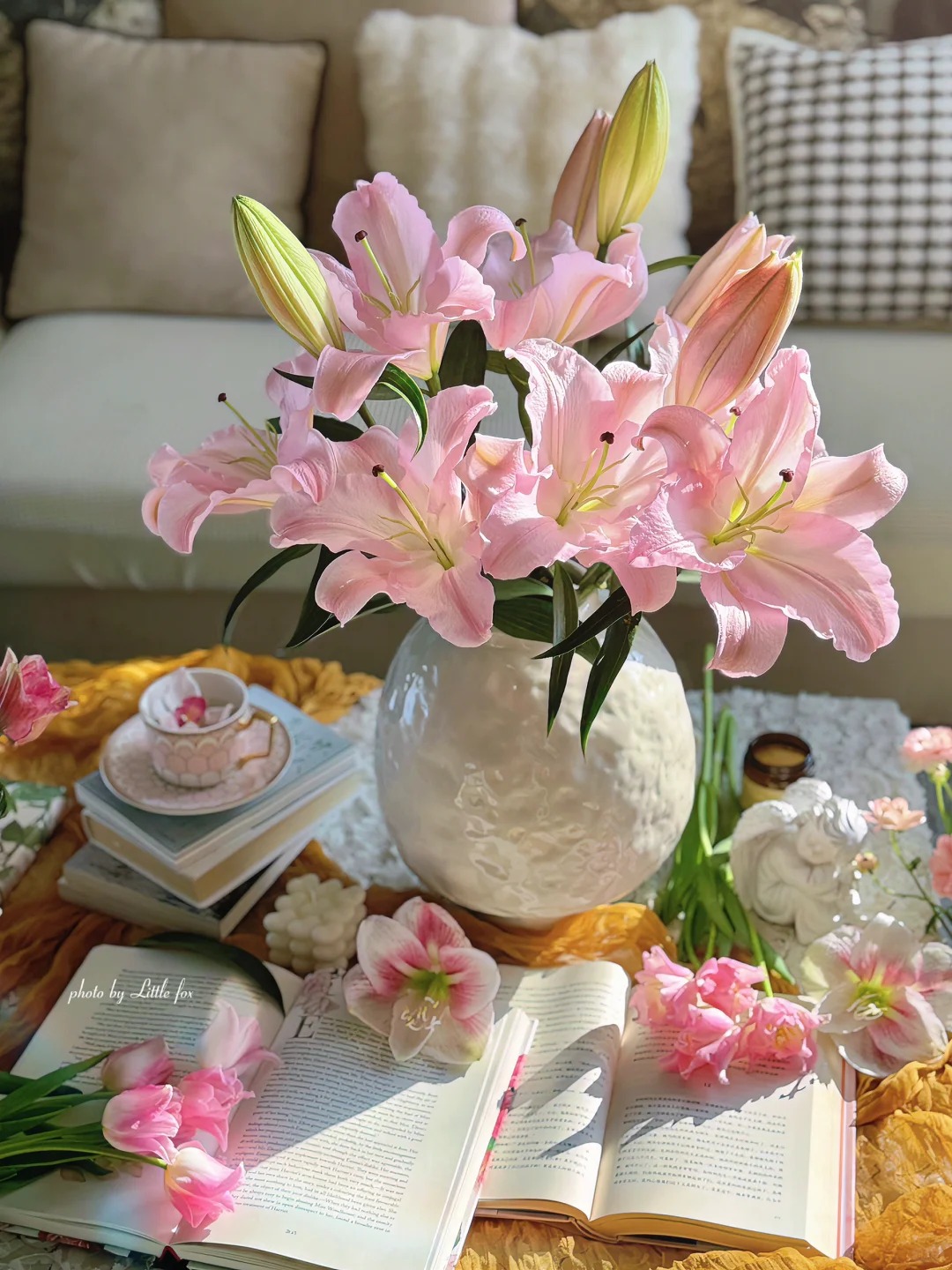 3头粉天使单瓣香水百合--实物以直播间展示为准