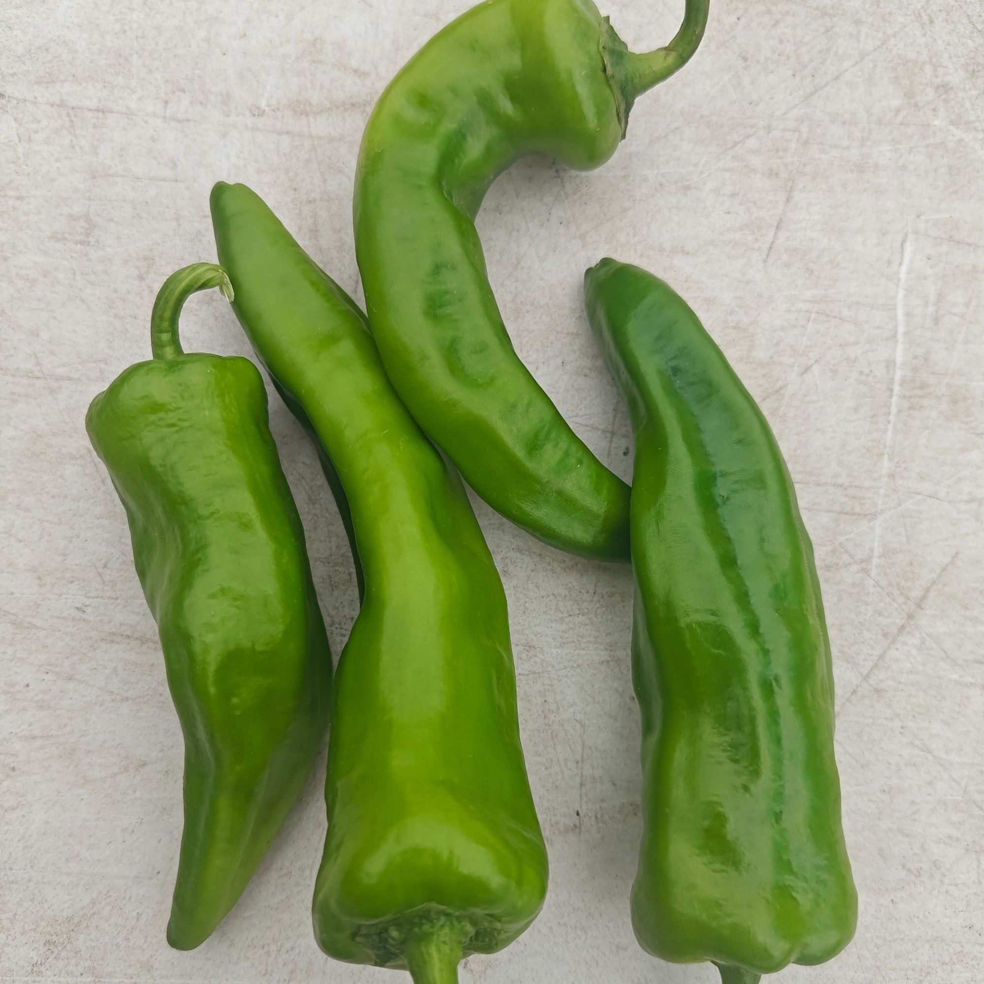 （助农专属）农家小园笨辣椒