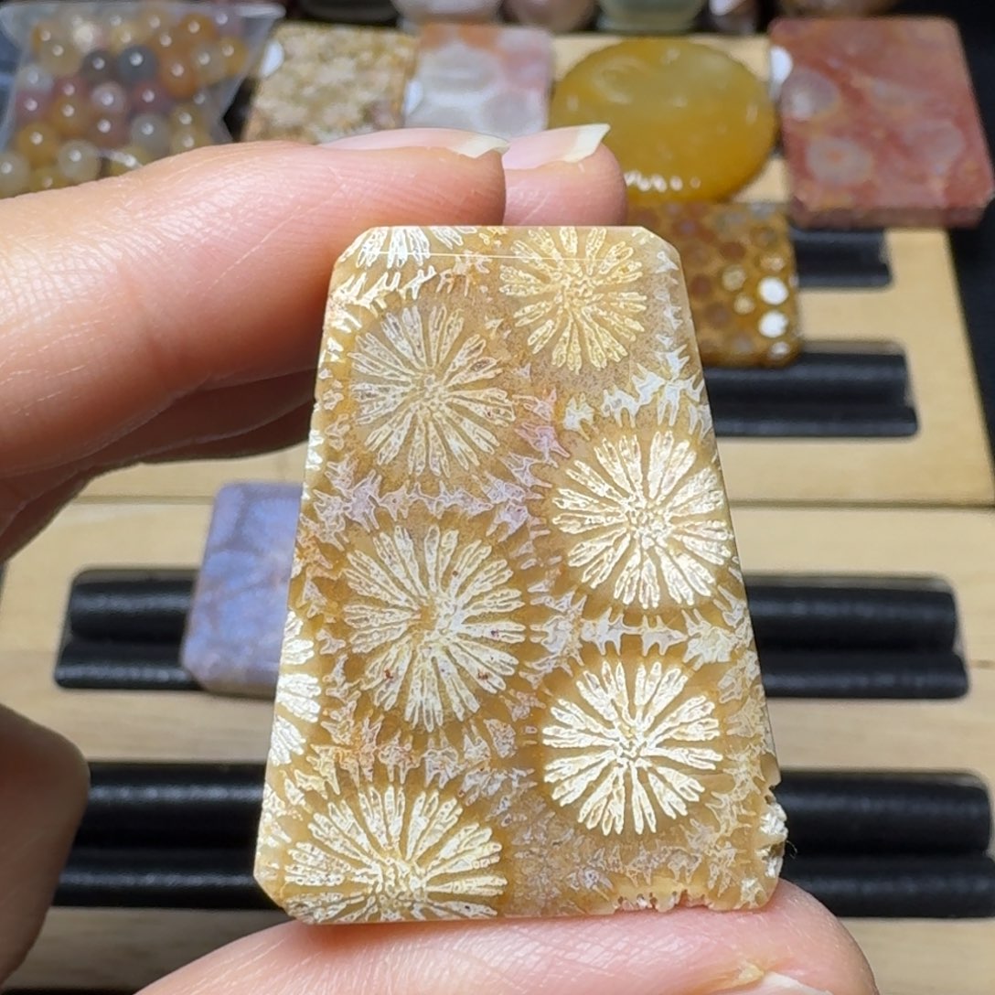 硅化玉骨骼皮大花未镶嵌