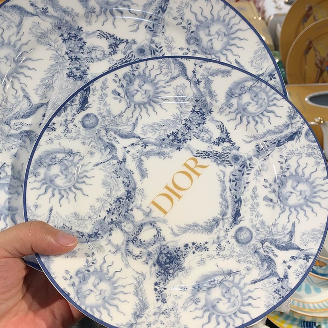 【闪购商品】瓷片大小盘