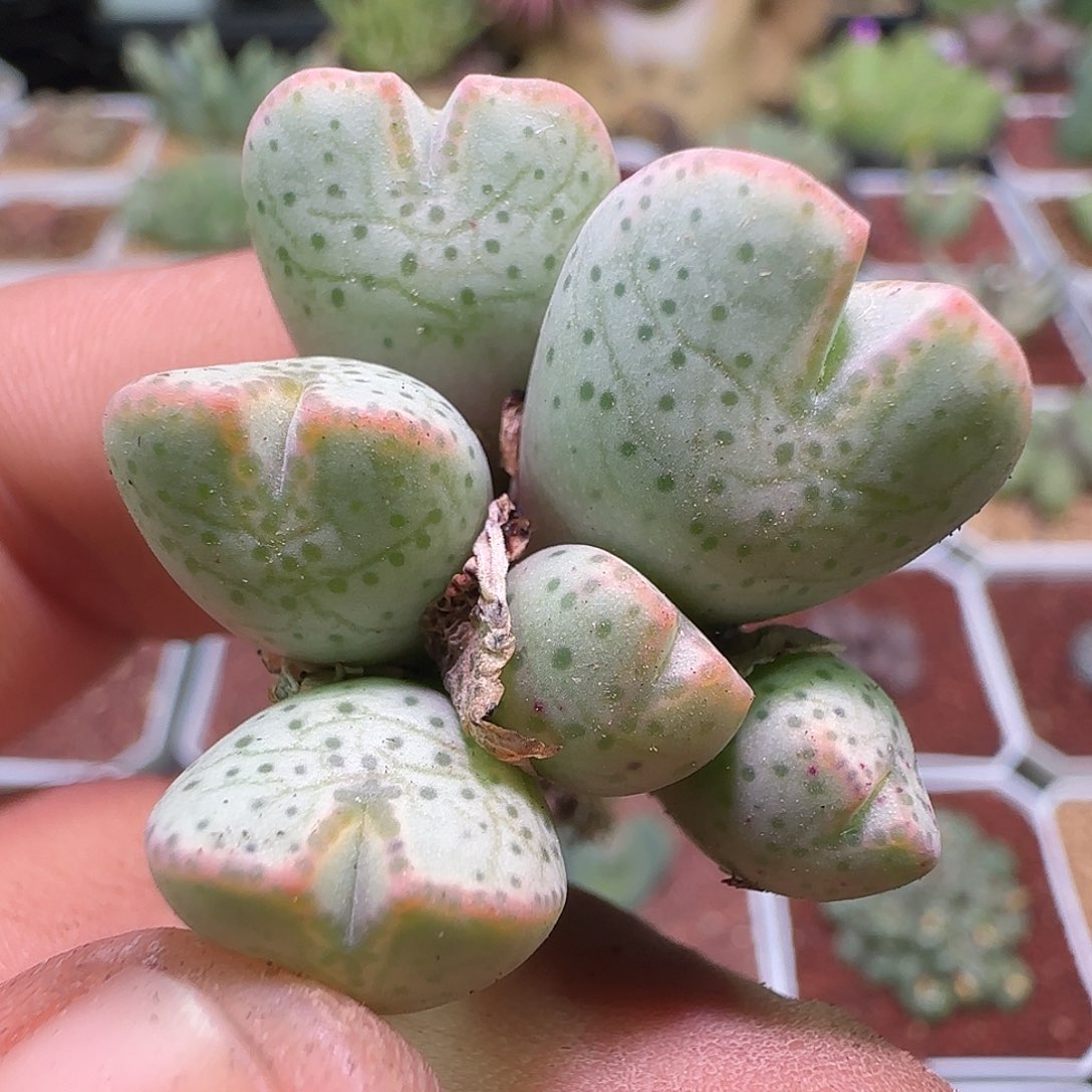 哈哈哈哈哈哈哈哈944