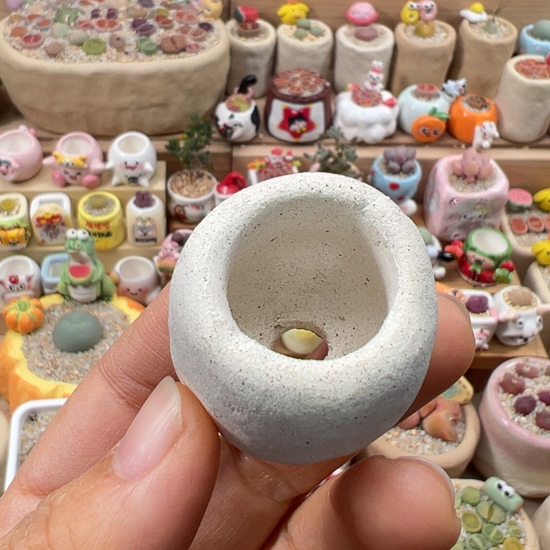 多肉植物5元素烧盆一个