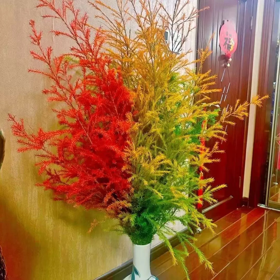 千层金室内绿植 氛围感花材 可做干花黄金香柳 DG