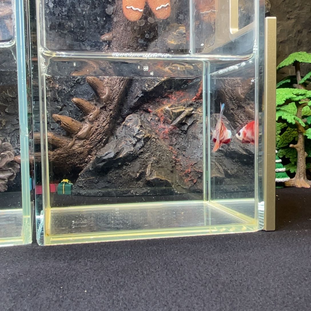 斗鱼十二月二十八日竞价