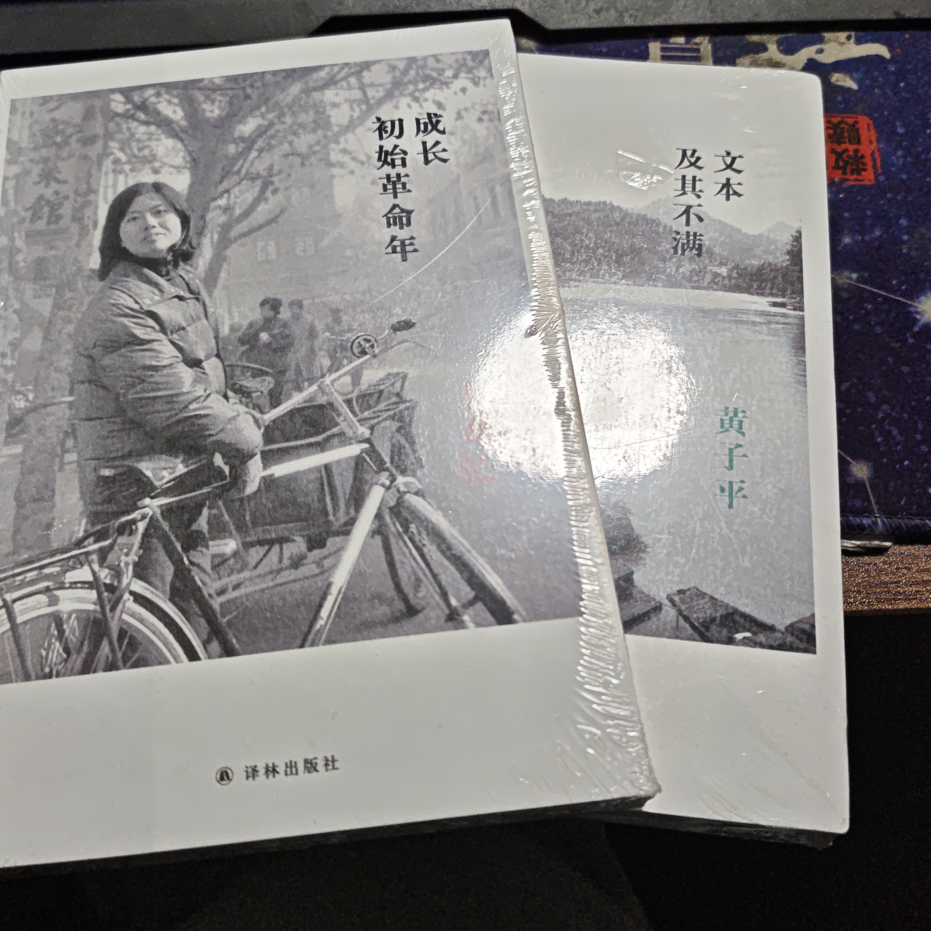 成长初始革命年-王安忆+文本及其不满-黄子平
