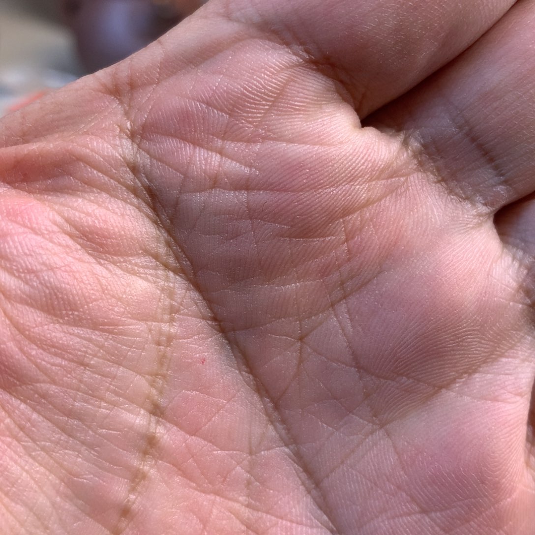 直播间一物一拍烤茶罐