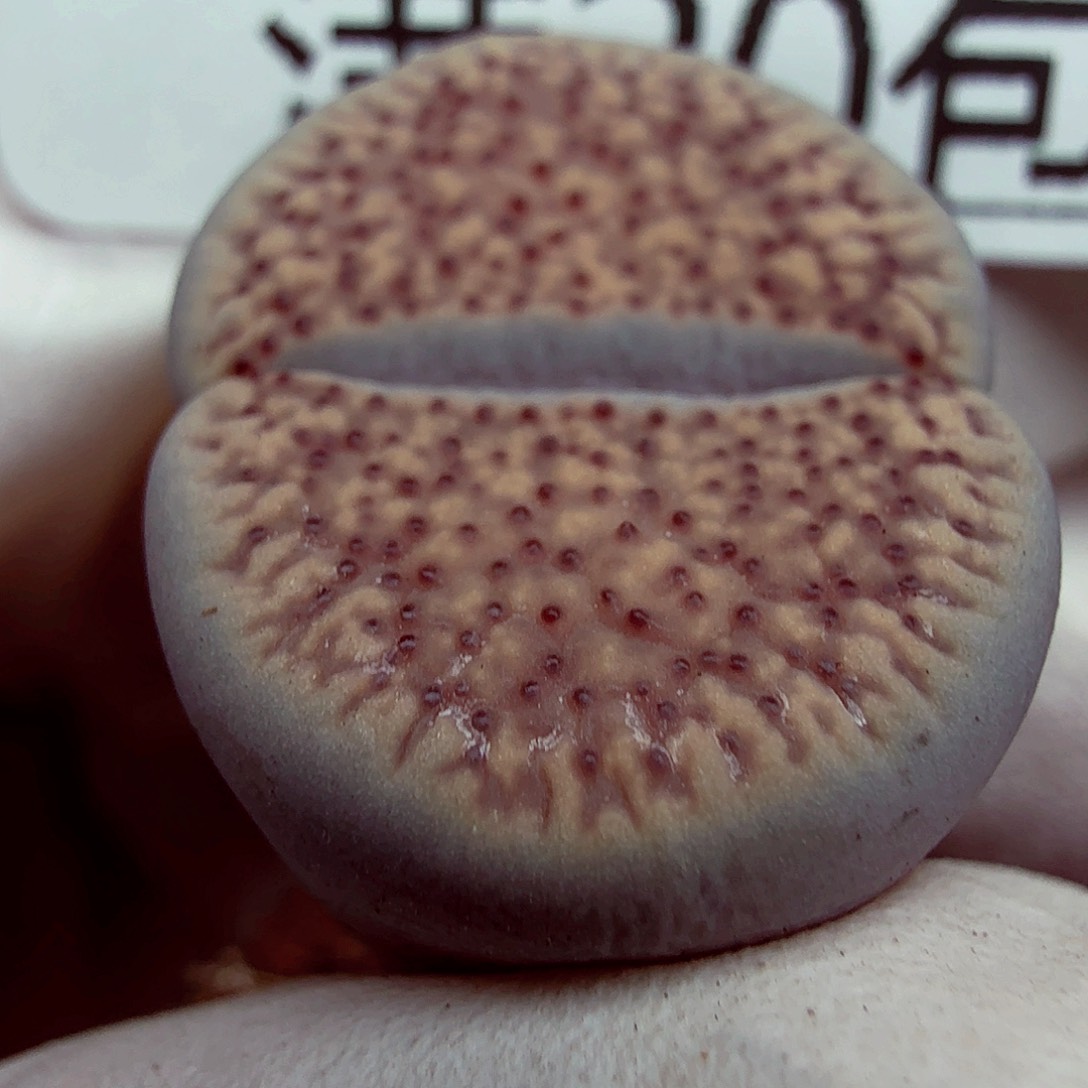 你不去上班呀么啊哈哈不047