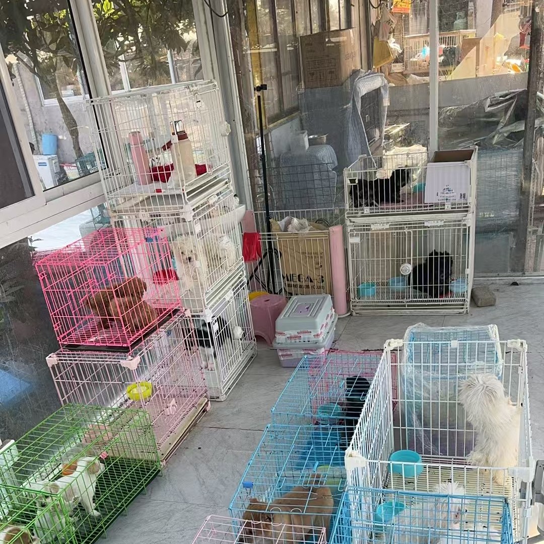 预定款式了解更多细节蓝色狗笼一号链接狗笼马尔济斯比熊白色狗笼