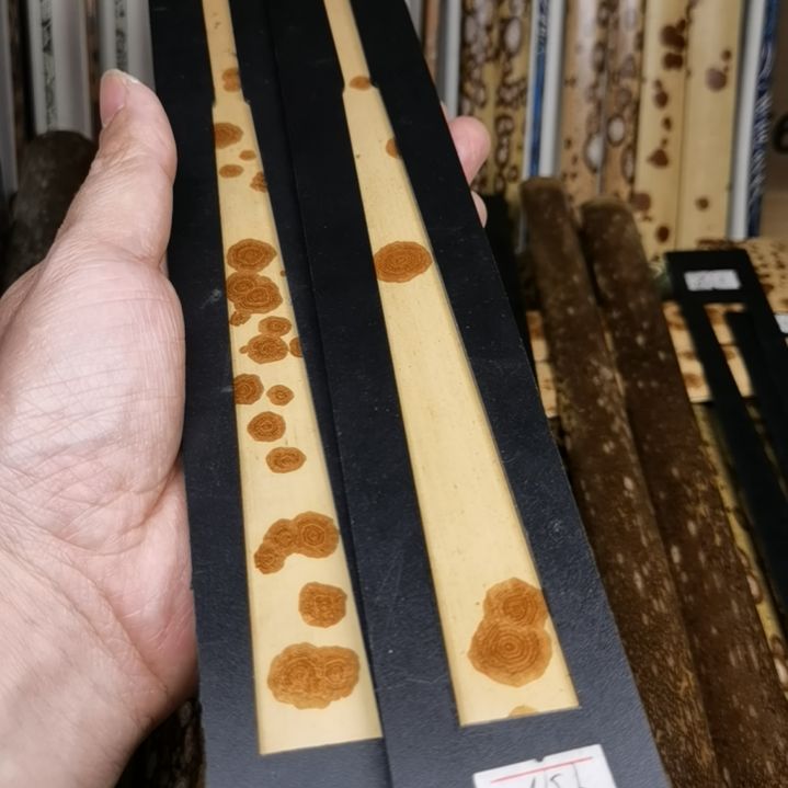 扇子绿春大花扇料