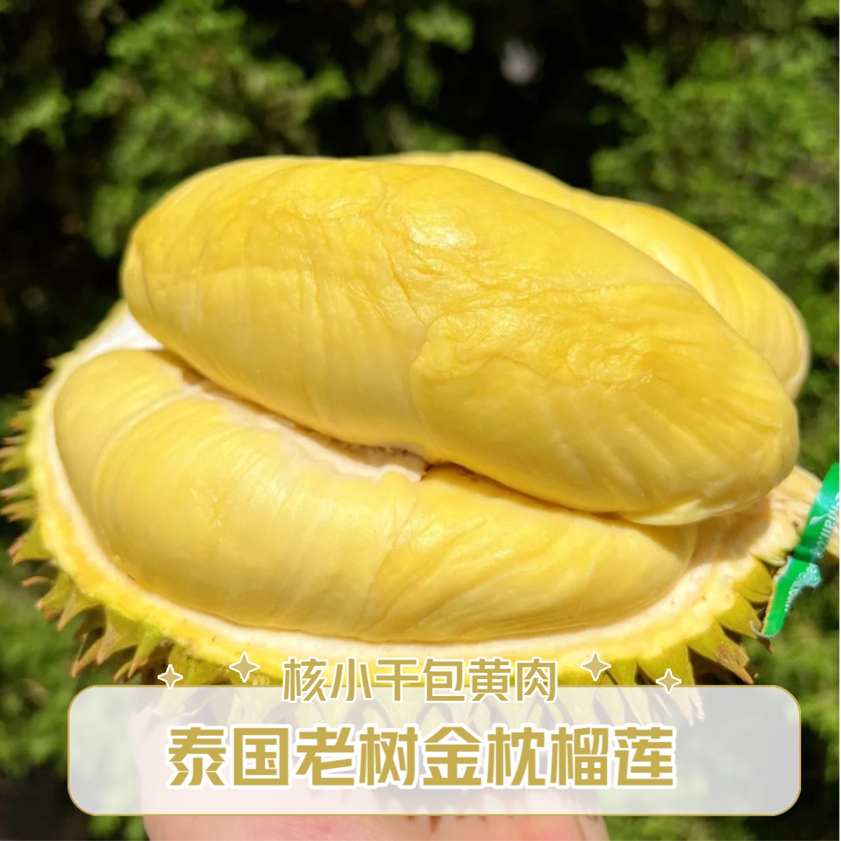 AA金枕【整果】一物一拍【直播间现挑】泰国树熟金枕鲜榴莲KG核小昆山同城闪送金枕泰国金枕泰国