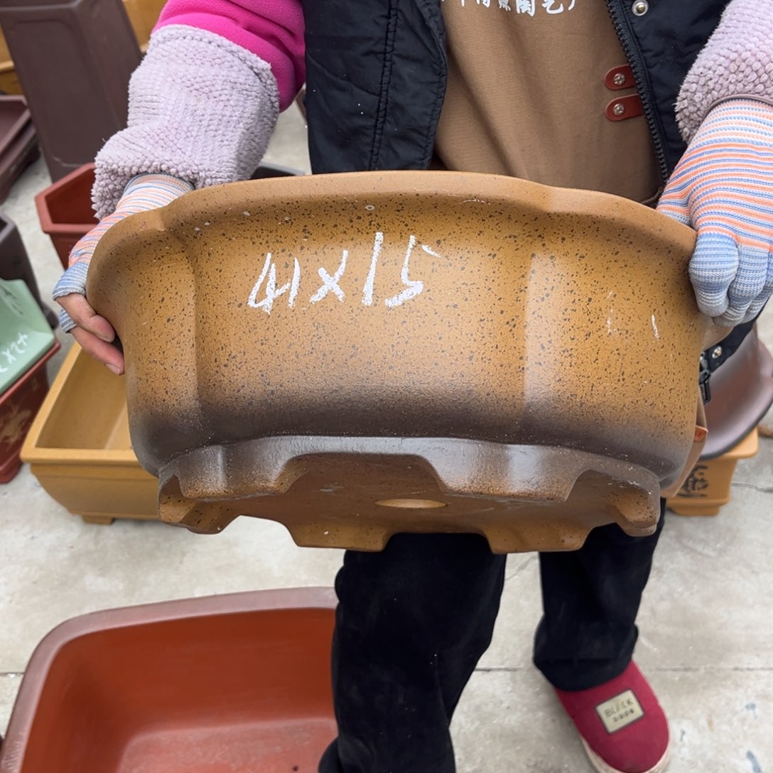 紫砂花盆盆景艺术