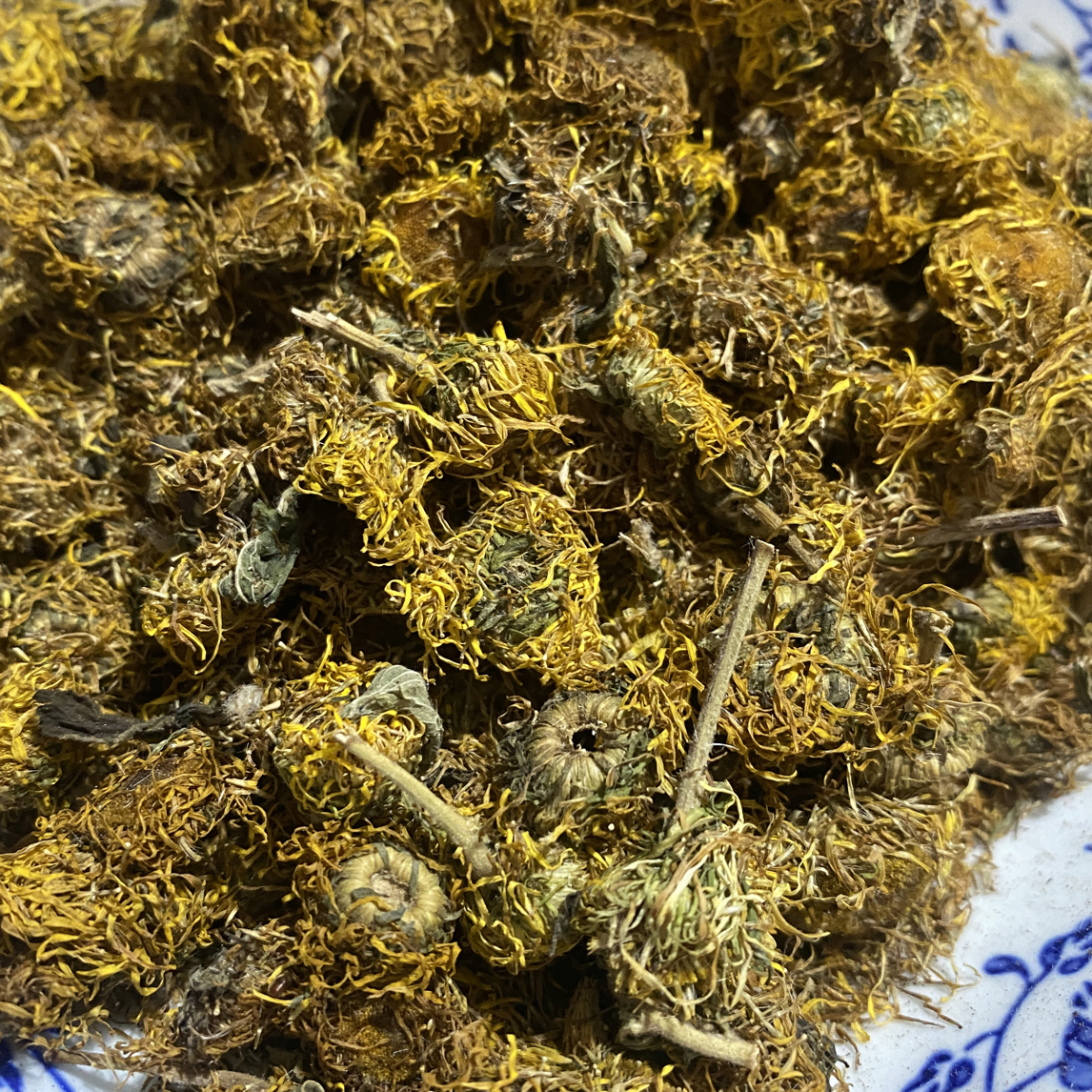 旋复花 秦岭产 高品质