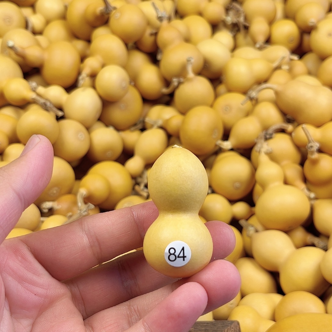 五葫芦葫芦葫芦葫芦葫芦84