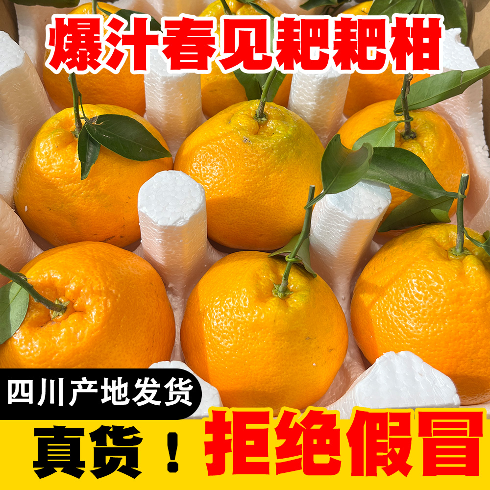 （礼品包装）送礼优选四川春见粑粑柑新鲜现摘香甜多汁爽口自然成熟