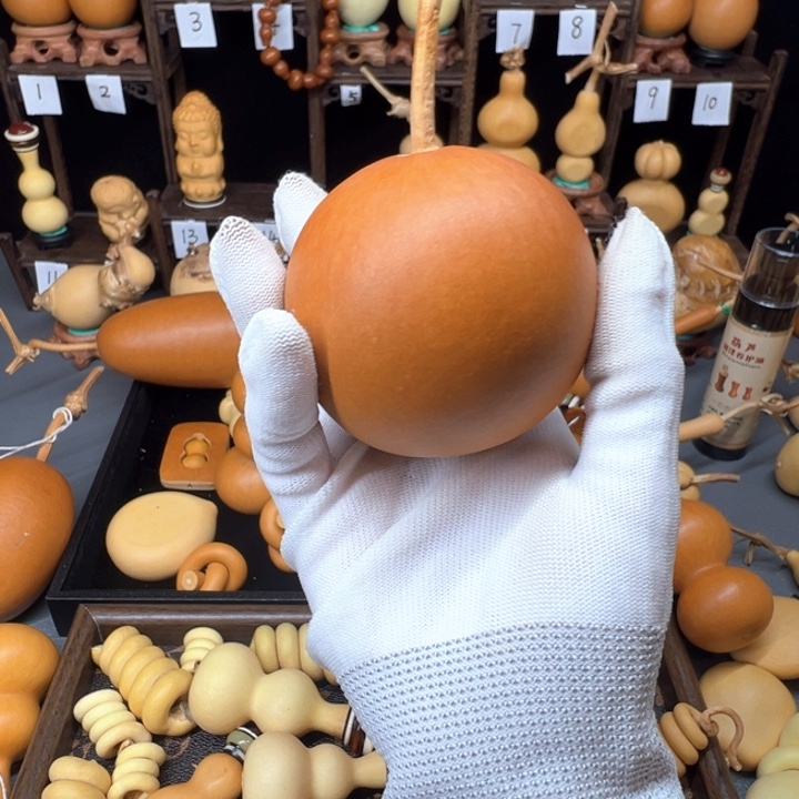 初****葫芦葫芦葫芦葫芦