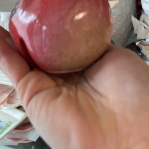 【闪购商品】摆件摆摆件摆件摆件摆件摆件