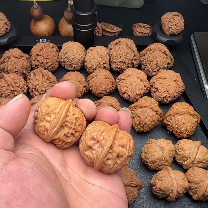 40尺全品无修元宝