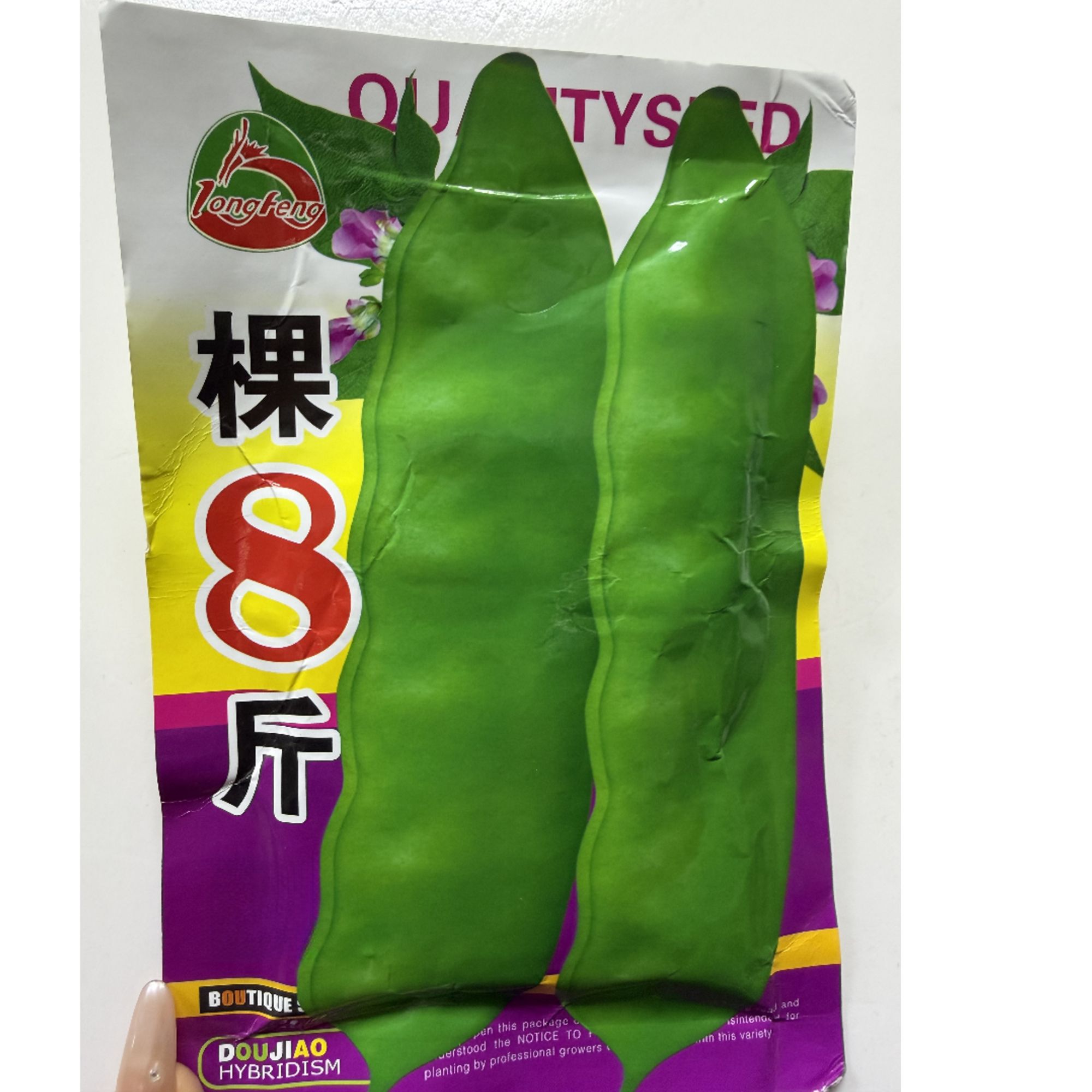 棵八斤绿油豆（也叫九月忙宽扁绿）角宽角长50g起