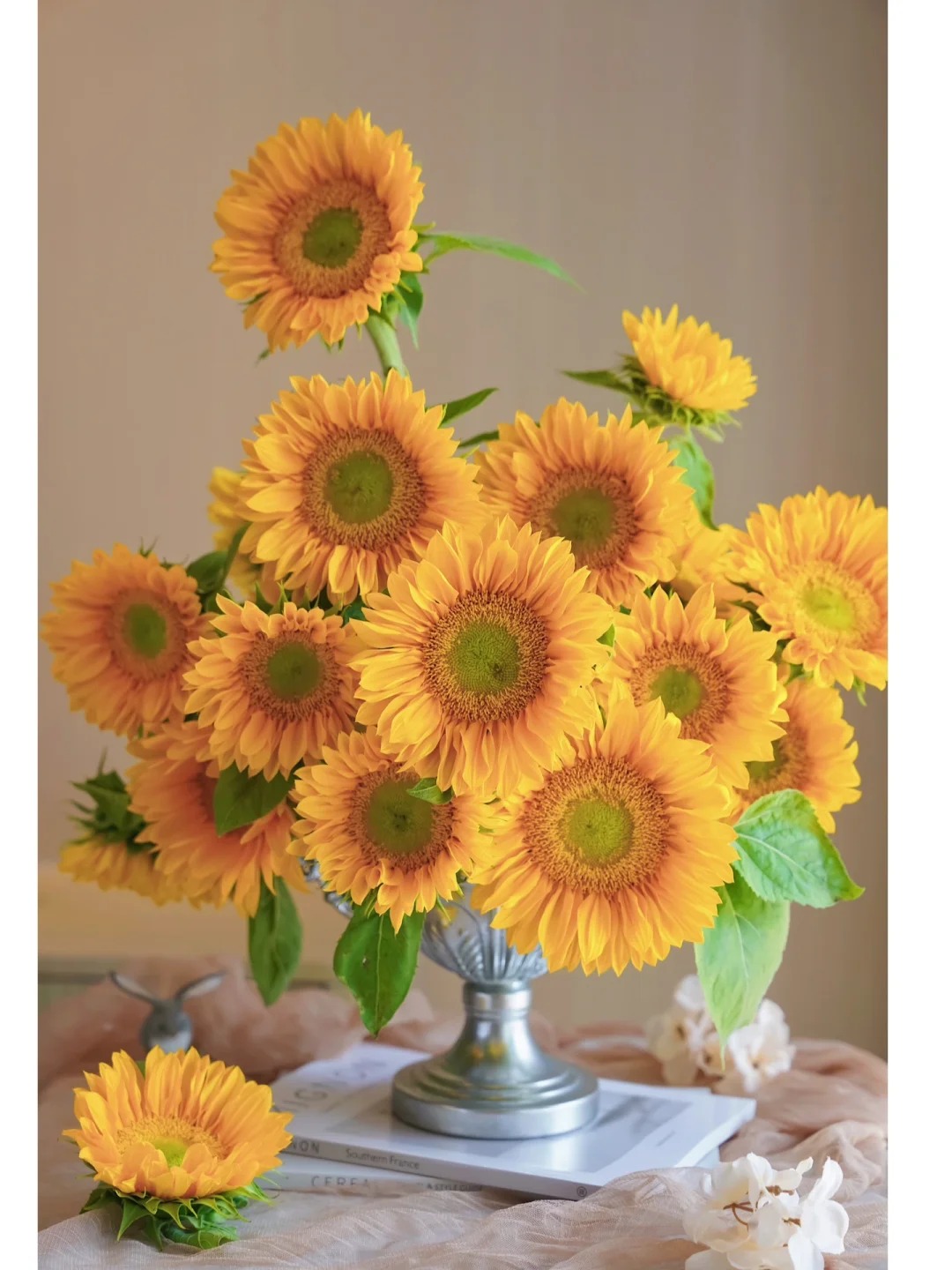 【花王朝】绿心-向日葵鲜切花 云南直发鲜花家居水养插花鲜切花 