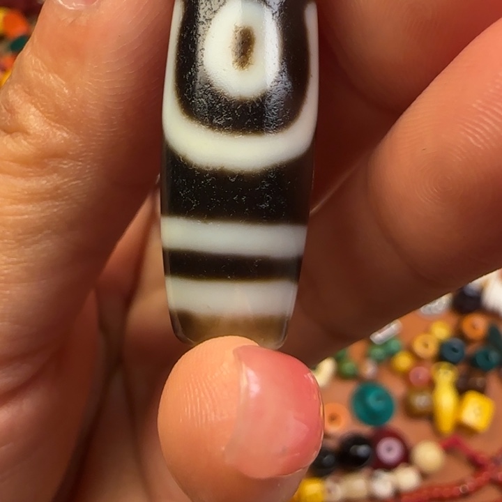 香榧木哈哈哈哈哈哈