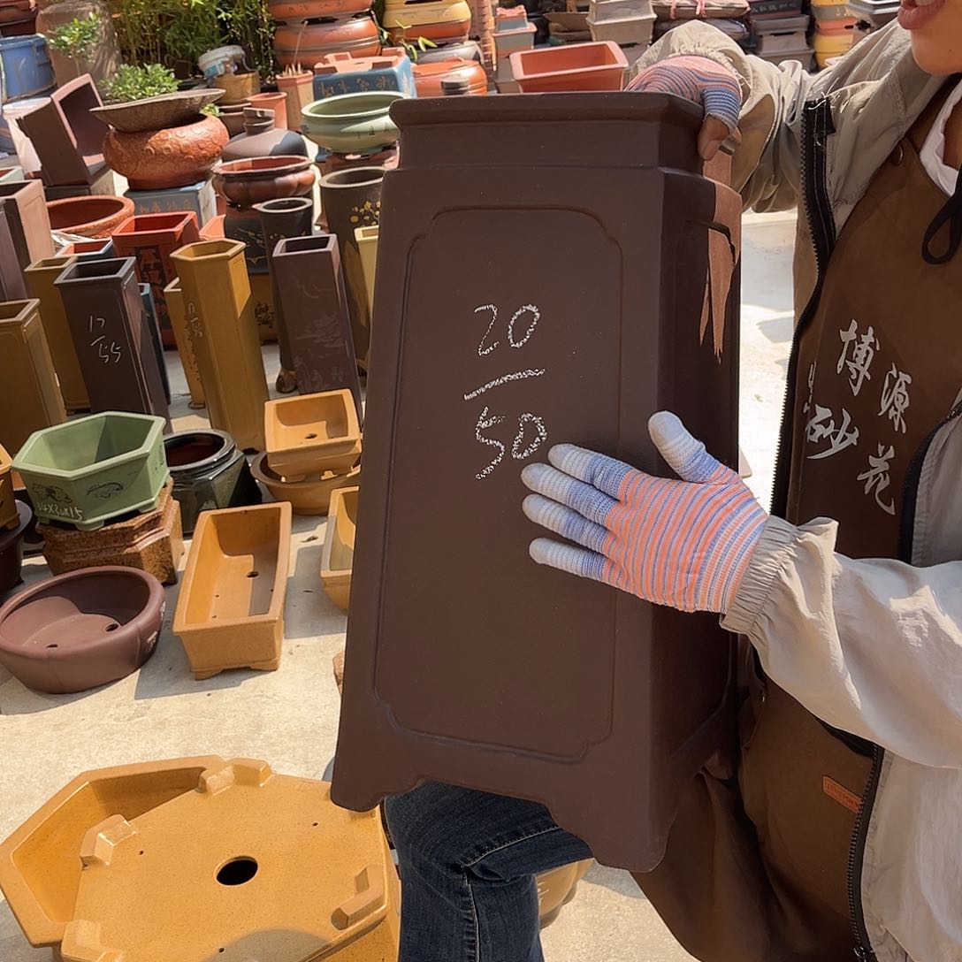 紫砂花盆盆景艺术