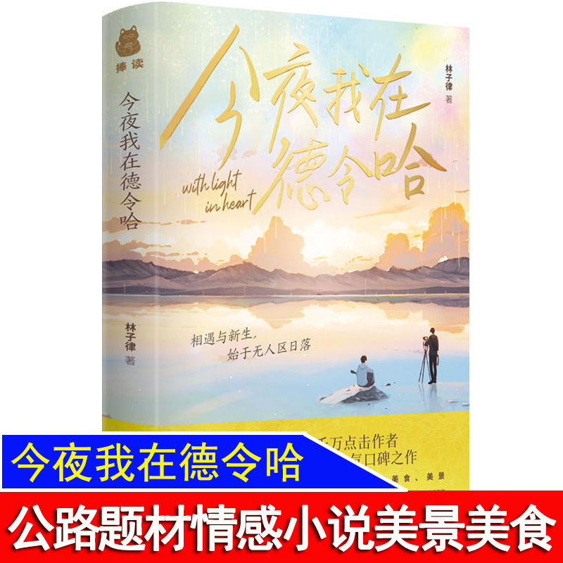 【正版】今夜我在德令哈 林子律著 双男主原耽长佩治愈小说