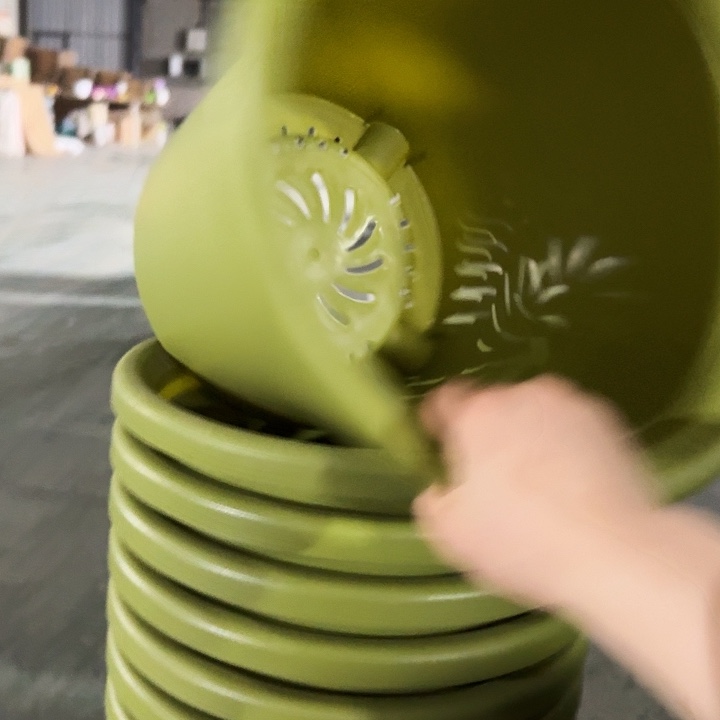 四季7号果绿无托6个特价微瑕