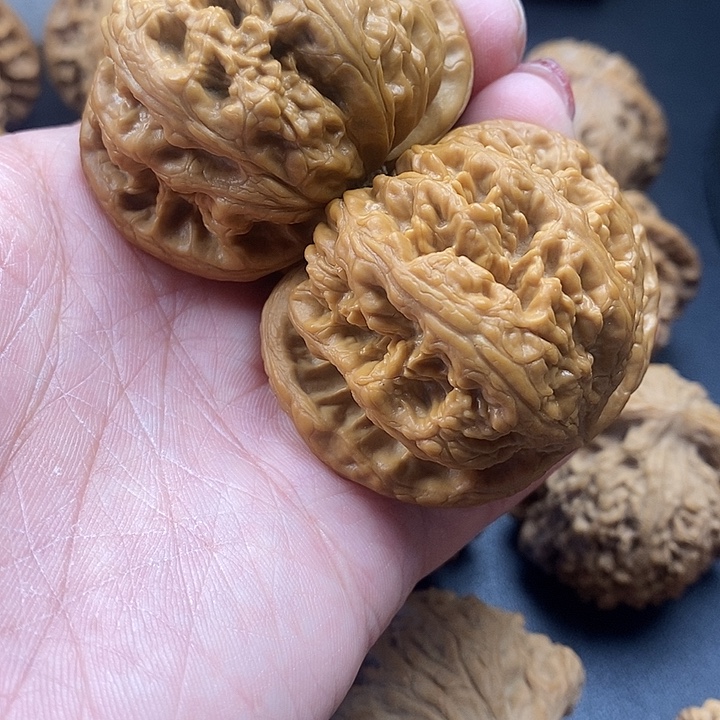 减***石吊坠龙脊菩提粗筋50