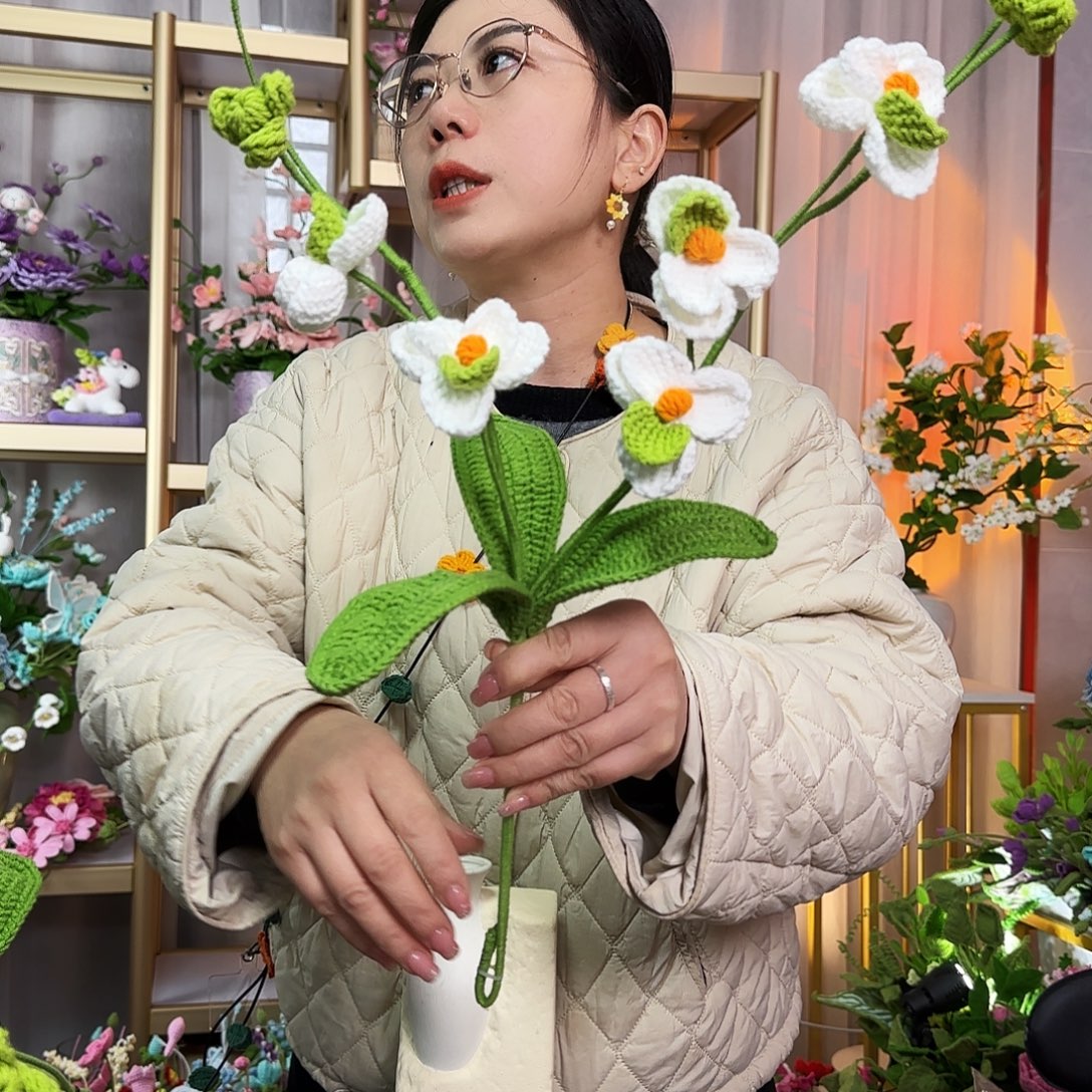 纯手工钩织钩织盆栽