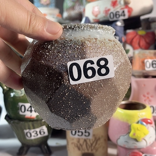 红陶多肉植物花盆