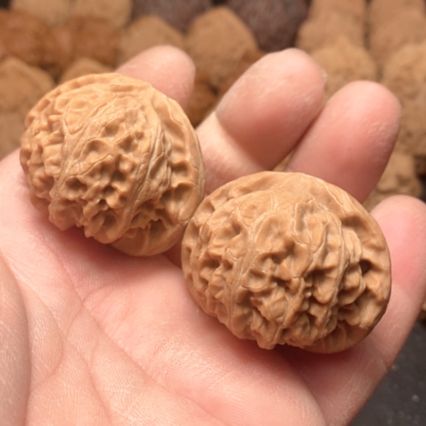 【闪购商品】宫灯狮