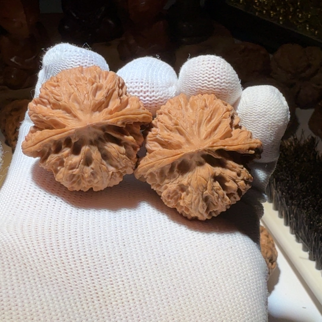 文玩核桃吊坠福利苹果圆不退换