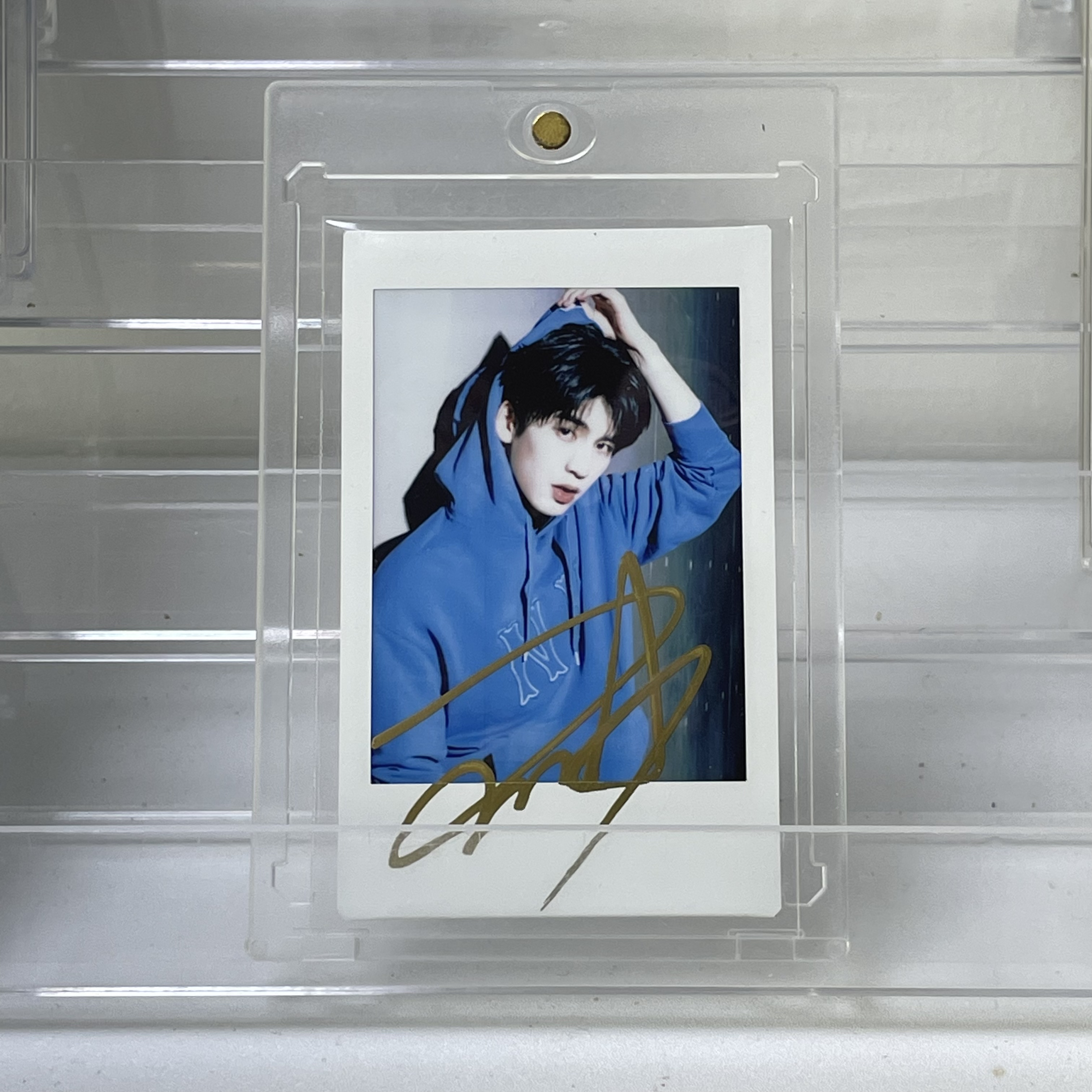 P5135【张凌赫】正品富士拍立得照片 白边