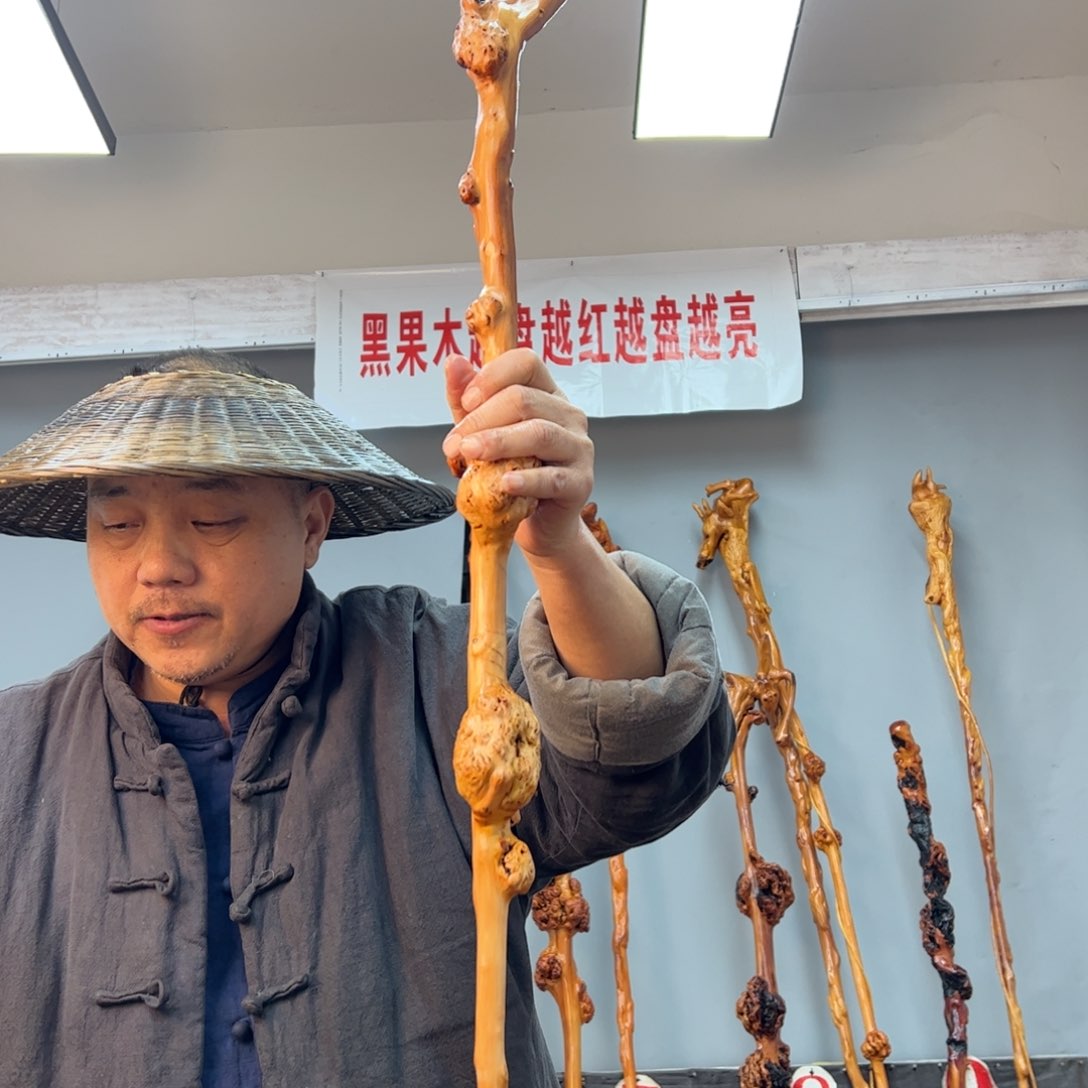 黑果木其他钓****乐车载棍299
