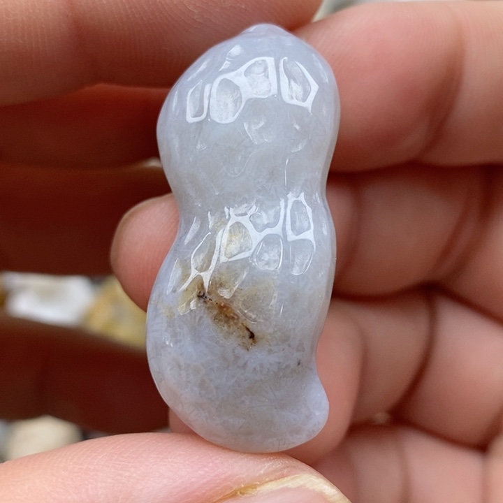 硅化珊瑚（珊瑚玉）未镶嵌颈饰